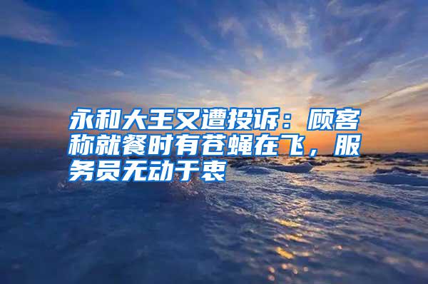 永和大王又遭投訴:顧客稱就餐時有蒼蠅在飛,服務(wù)員無動于衷