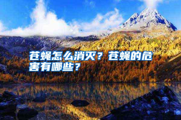 蒼蠅怎么消滅？蒼蠅的危害有哪些？