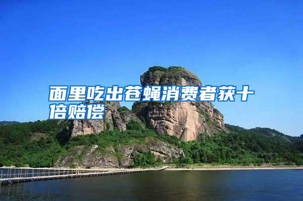 面里吃出蒼蠅消費(fèi)者獲十倍賠償