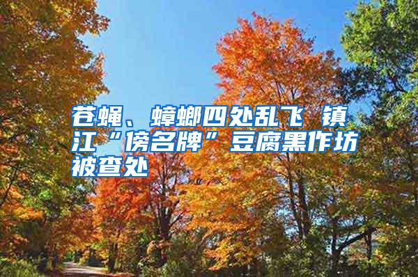 蒼蠅、蟑螂四處亂飛 鎮(zhèn)江“傍名牌”豆腐黑作坊被查處