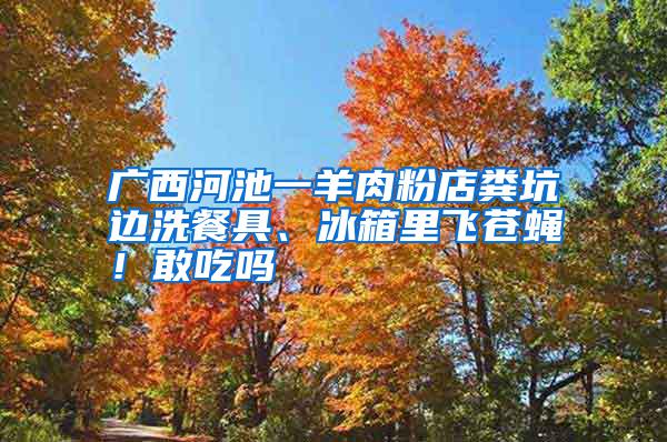 廣西河池一羊肉粉店糞坑邊洗餐具、冰箱里飛蒼蠅！敢吃嗎