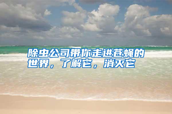 除蟲公司帶你走進蒼蠅的世界，了解它，消滅它