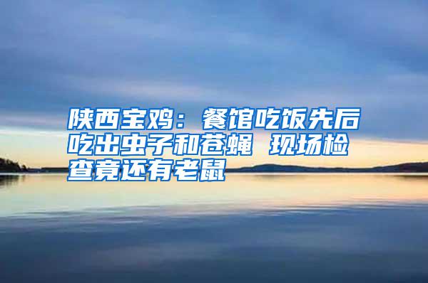 陜西寶雞:餐館吃飯先后吃出蟲子和蒼蠅 現(xiàn)場檢查竟還有老鼠