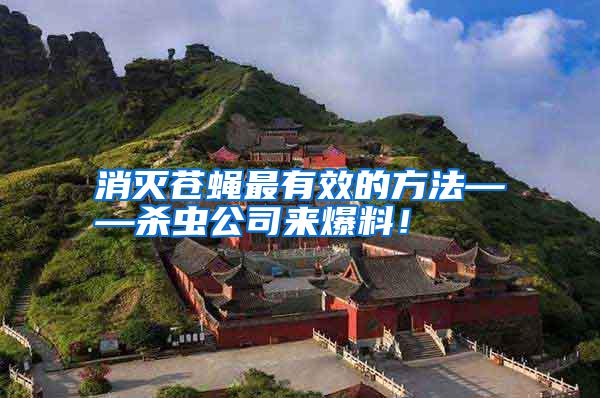 消滅蒼蠅最有效的方法——殺蟲公司來爆料！