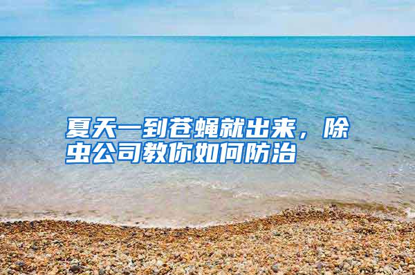 夏天一到蒼蠅就出來，除蟲公司教你如何防治