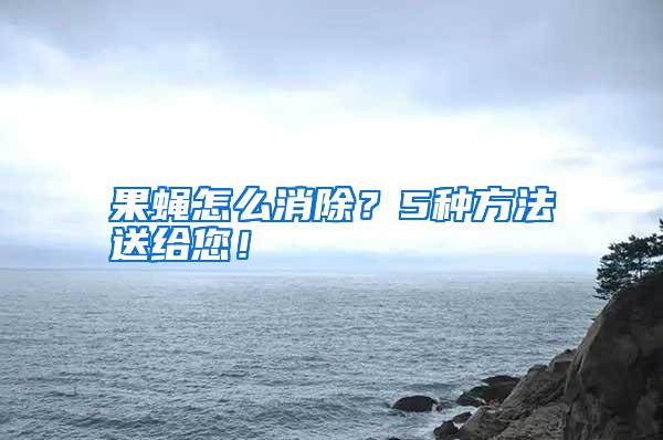 果蠅怎么消除？5種方法送給您！