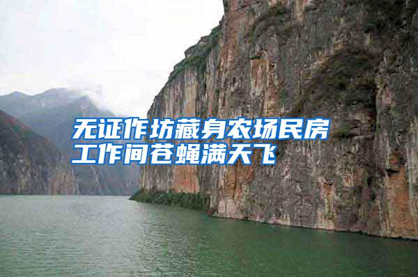 無證作坊藏身農(nóng)場民房 工作間蒼蠅滿天飛