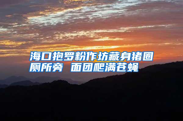 ?？诒Я_粉作坊藏身豬圈廁所旁 面團爬滿蒼蠅