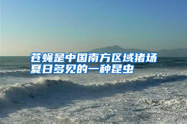 蒼蠅是中國(guó)南方區(qū)域豬場(chǎng)夏日多見的一種昆蟲