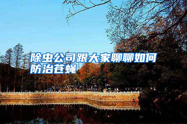 除蟲(chóng)公司跟大家聊聊如何防治蒼蠅