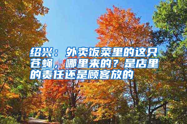 紹興：外賣飯菜里的這只蒼蠅，哪里來的？是店里的責(zé)任還是顧客放的