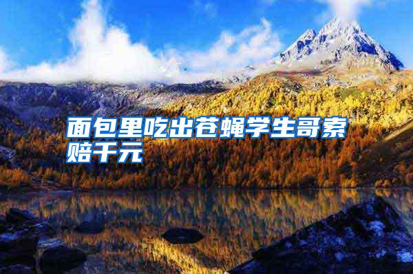 面包里吃出蒼蠅學(xué)生哥索賠千元