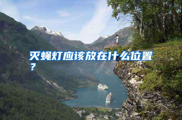 滅蠅燈應(yīng)該放在什么位置？