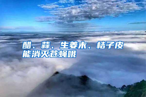 醋、蒜、生姜末、桔子皮能消滅蒼蠅哦