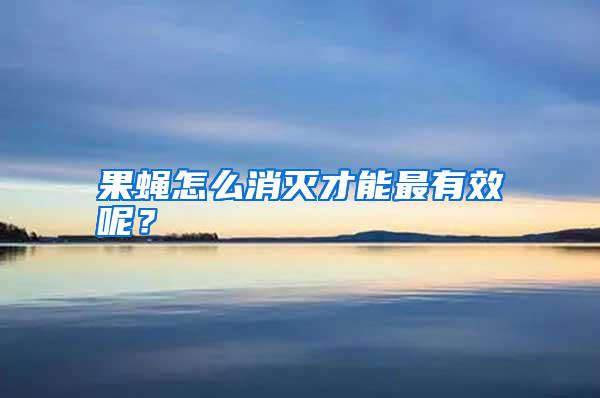 果蠅怎么消滅才能最有效呢？
