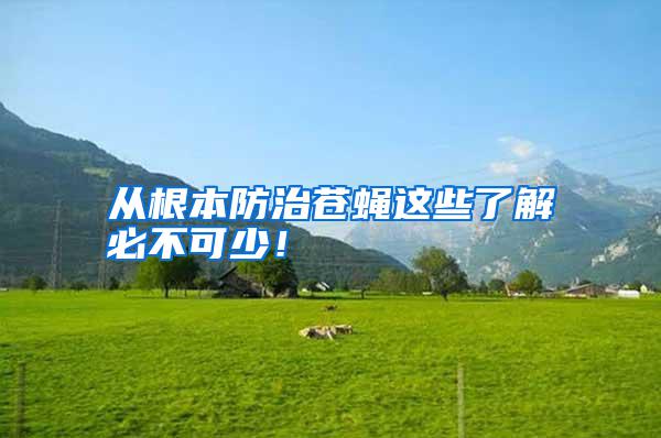 從根本防治蒼蠅這些了解必不可少！