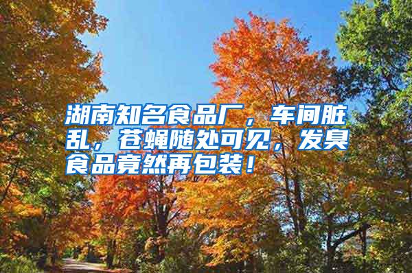 湖南知名食品廠，車間臟亂，蒼蠅隨處可見，發(fā)臭食品竟然再包裝！