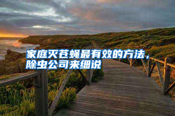 家庭滅蒼蠅最有效的方法，除蟲公司來細(xì)說