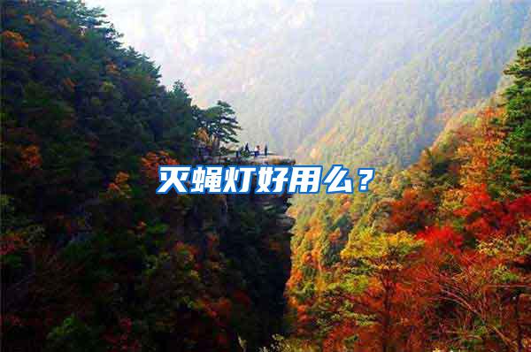 滅蠅燈好用么？