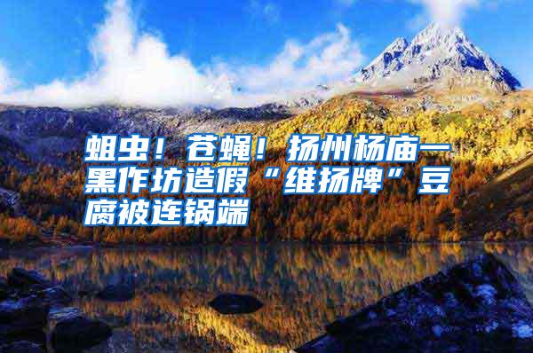 蛆蟲！蒼蠅！揚(yáng)州楊廟一黑作坊造假“維揚(yáng)牌”豆腐被連鍋端