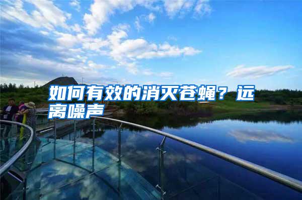 如何有效的消滅蒼蠅？遠(yuǎn)離噪聲