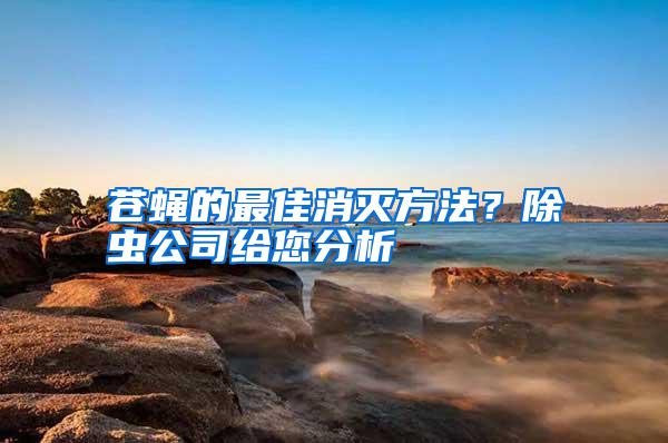 蒼蠅的最佳消滅方法?除蟲公司給您分析