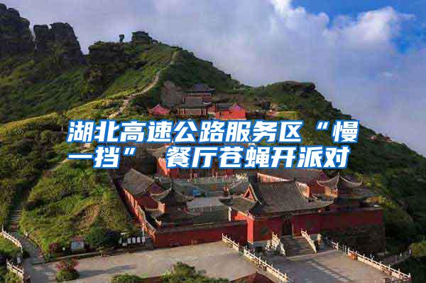 湖北高速公路服務(wù)區(qū)“慢一擋” 餐廳蒼蠅開派對