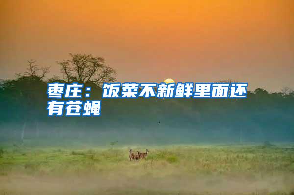 棗莊:飯菜不新鮮里面還有蒼蠅