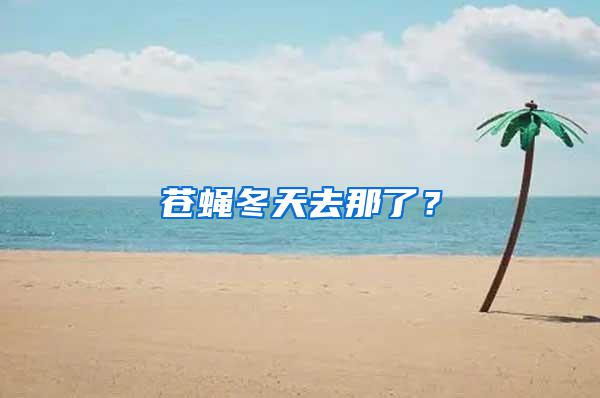 蒼蠅冬天去那了？