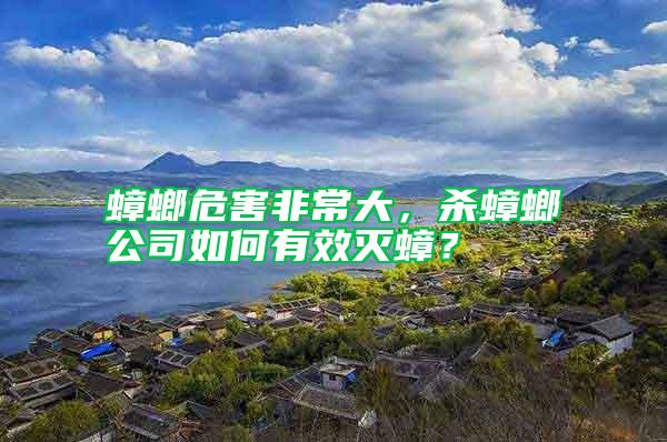 蟑螂危害非常大，殺蟑螂公司如何有效滅蟑？