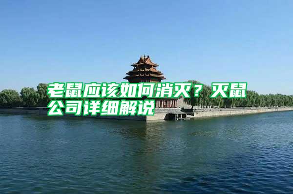 老鼠應(yīng)該如何消滅？滅鼠公司詳細(xì)解說