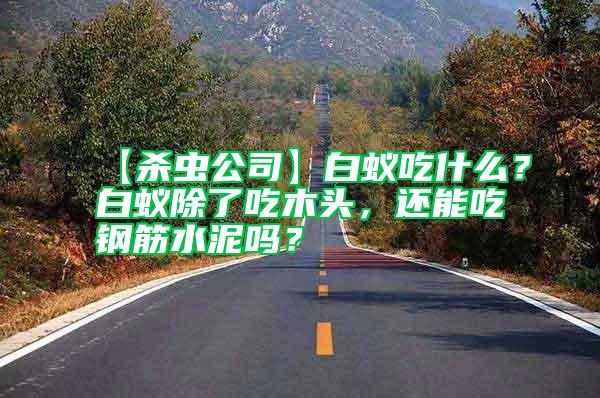 【殺蟲公司】白蟻吃什么？白蟻除了吃木頭，還能吃鋼筋水泥嗎？