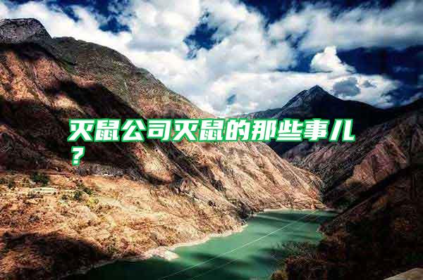 滅鼠公司滅鼠的那些事兒？