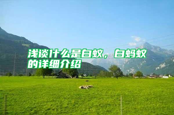 淺談什么是白蟻，白螞蟻的詳細(xì)介紹