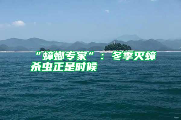 “蟑螂專(zhuān)家”:冬季滅蟑殺蟲(chóng)正是時(shí)候