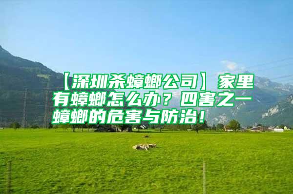 【深圳殺蟑螂公司】家里有蟑螂怎么辦？四害之一蟑螂的危害與防治！