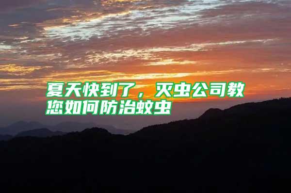 夏天快到了，滅蟲公司教您如何防治蚊蟲