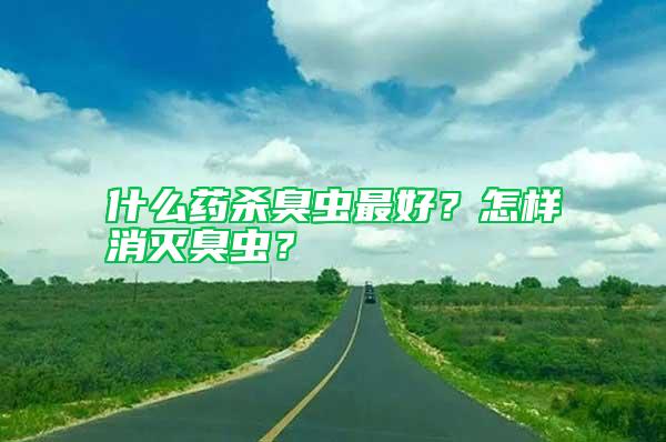 什么藥殺臭蟲最好？怎樣消滅臭蟲？