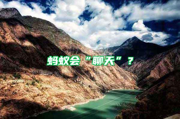 螞蟻會(huì)“聊天”？