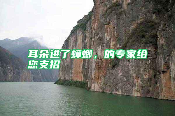 耳朵進了蟑螂，的專家給您支招