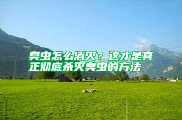 臭蟲怎么消滅？這才是真正徹底殺滅臭蟲的方法