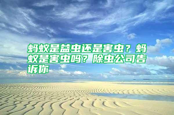 螞蟻是益蟲還是害蟲？螞蟻是害蟲嗎？除蟲公司告訴你