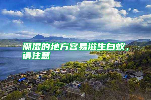 潮濕的地方容易滋生白蟻，請注意