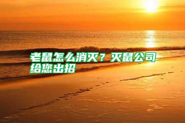 老鼠怎么消滅？滅鼠公司給您出招