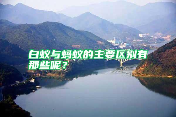 白蟻與螞蟻的主要區(qū)別有那些呢？