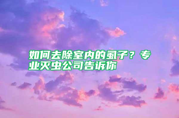 如何去除室內(nèi)的虱子？專業(yè)滅蟲公司告訴你