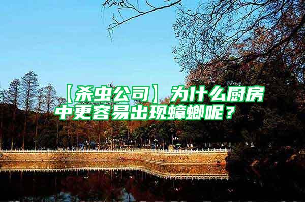 【殺蟲公司】為什么廚房中更容易出現(xiàn)蟑螂呢？