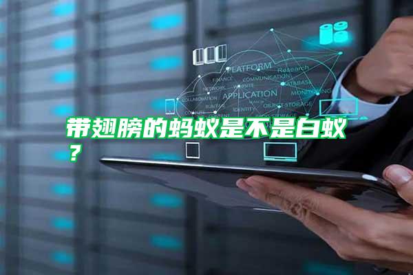 帶翅膀的螞蟻是不是白蟻？