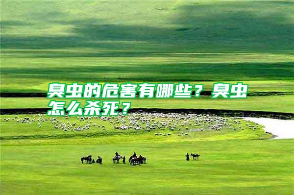 臭蟲的危害有哪些？臭蟲怎么殺死？