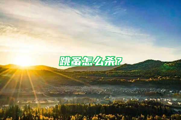 跳蚤怎么殺？